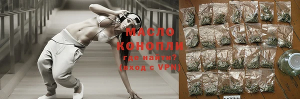 гашик Новозыбков