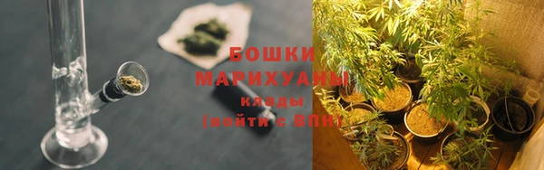 каннабис Новокубанск