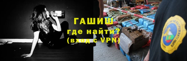 гашик Новозыбков
