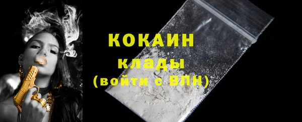 гашик Новозыбков