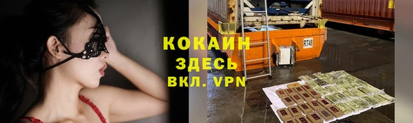 гашик Новозыбков