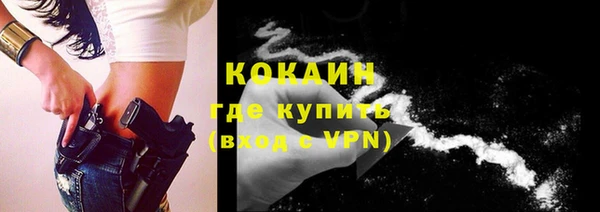 гашик Новозыбков