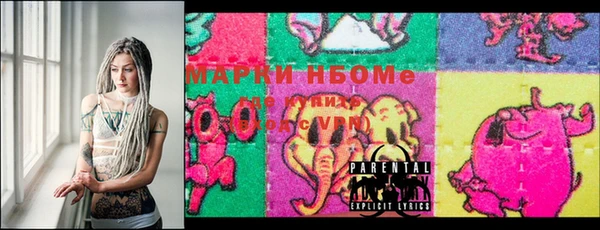 гашик Новозыбков