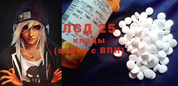 гашик Новозыбков